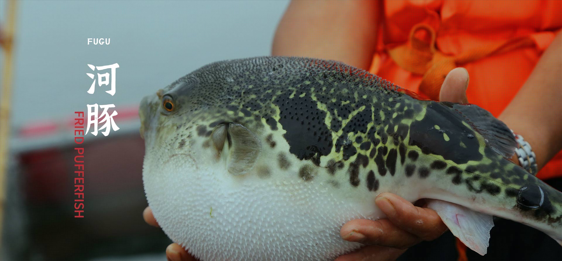 MK����(MKsports����)�ɷݹ�˾ - Mk Sports