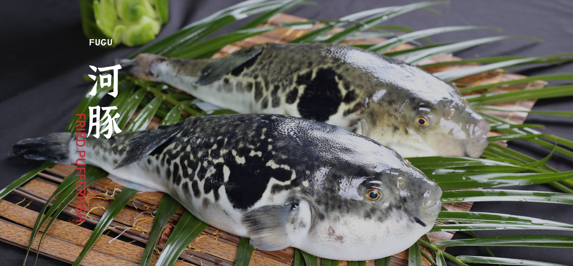 MK����(MKsports����)�ɷݹ�˾ - Mk Sports